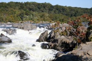 photo of rocks in the Potomac River