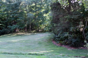 This hill is steeper than it looks, especially going downhill towards the creek.