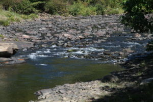 Rocky creek bank and rocky