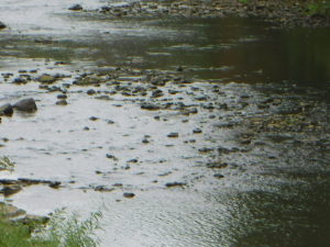 A gently flowing river, strewn with rocks