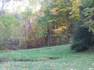 A view of the knoll, rising gently towards the forest