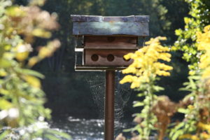 A spiderweb hanges beneath a birdhouse.