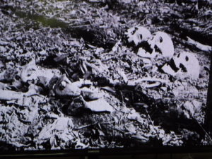 Three skeltons in a shallow Civil War grave